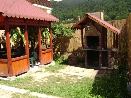 Foisor_si_gratar_in_curte.webp