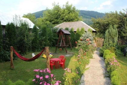 Curte_cu_loc_de_joaca_pentru_copii.webp