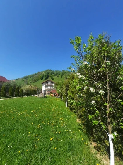 Gradina.webp