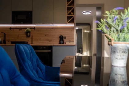 Apartament_modern_cazare.webp