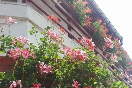 Casa Teomar