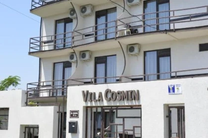Vila Cosmin