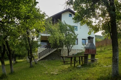Casa Paltinu