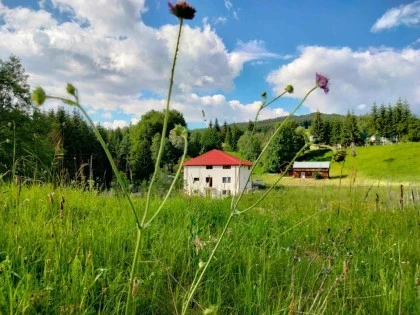 Casa_Poiana_Sasilor.webp
