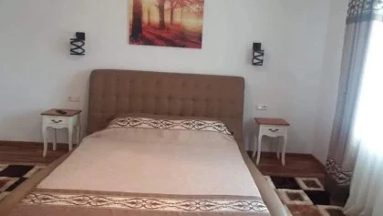 vila_cosmina_camera_br_02.webp