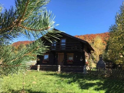 Cabana Valea Plopilor
