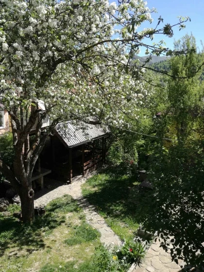 Gradina