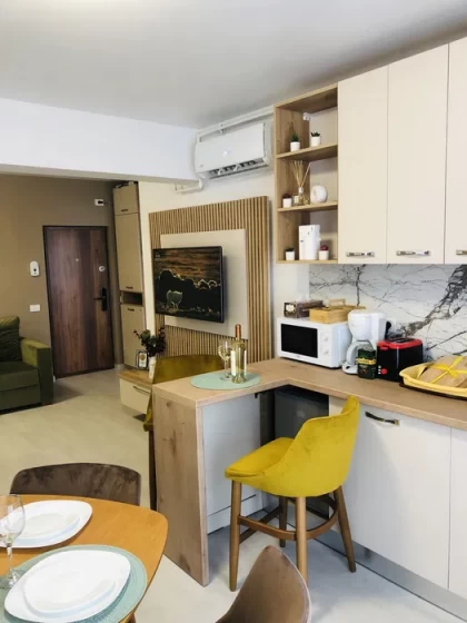 Apartament studio Mamaia Nord dotari