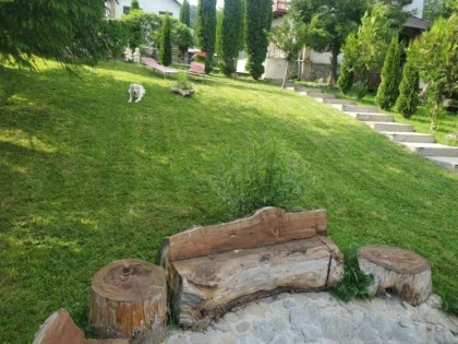Cabanele Tea Exterior Curte
