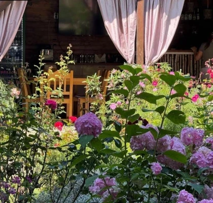 Karina garden terasa valea doftanei