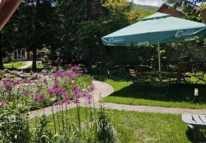 Karina garden curte