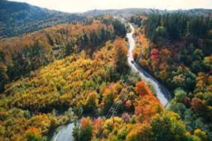 Teșila