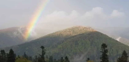 Priveliste