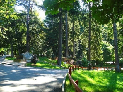 Peisaj parc