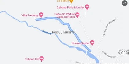Str. Castelului Traisteni, comuna Valea Doftanei, Prahova